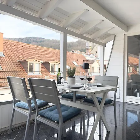 Apartamento Luxury Old Town - Xxl Terrasse & Xxl Penthouse Heidelberg