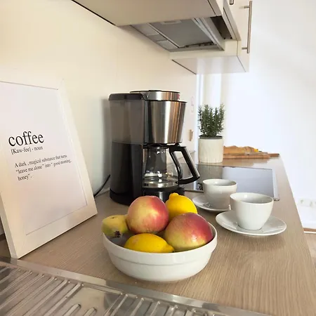 Apartment Luxury Old Town - Xxl Terrasse & Xxl Penthouse Heidelberg